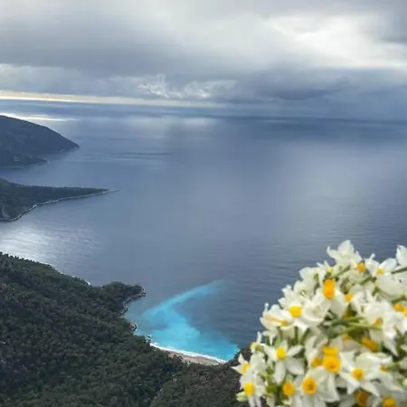Mavi Ve Yesilin Sonsuz Tonu Hotel Fethiye