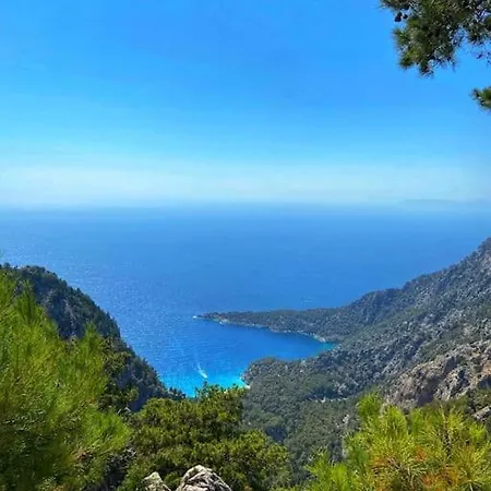 Mavi Ve Yesilin Sonsuz Tonu * Φετιγιέ